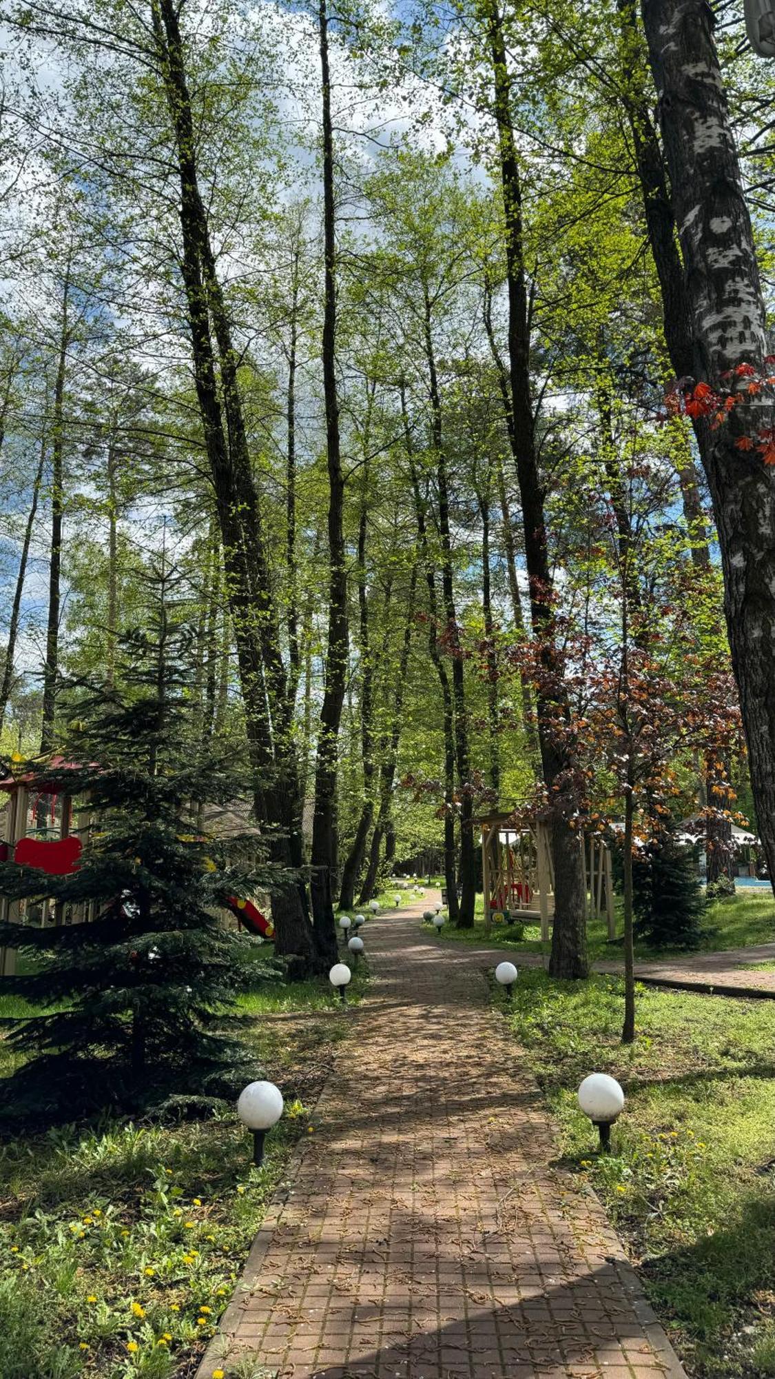 Tysha Forest Club Romankiv Ngoại thất bức ảnh